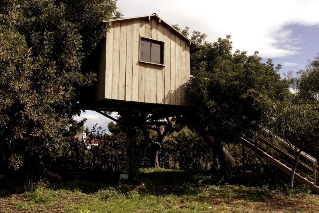 Casa Campo Con Piscina Y Barbacoa Para 6 Personas En Plena Naturaleza Picassent Bagian luar foto