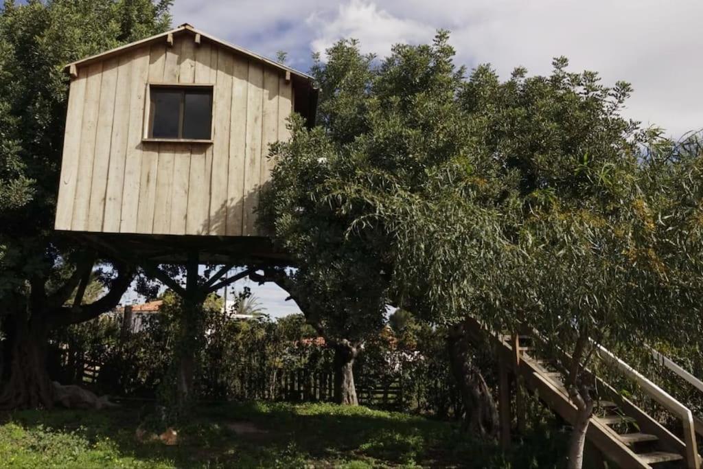 Casa Campo Con Piscina Y Barbacoa Para 6 Personas En Plena Naturaleza Picassent Bagian luar foto